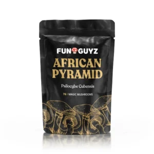 Buy Funguyz African Pyramid Magic Mushrooms
