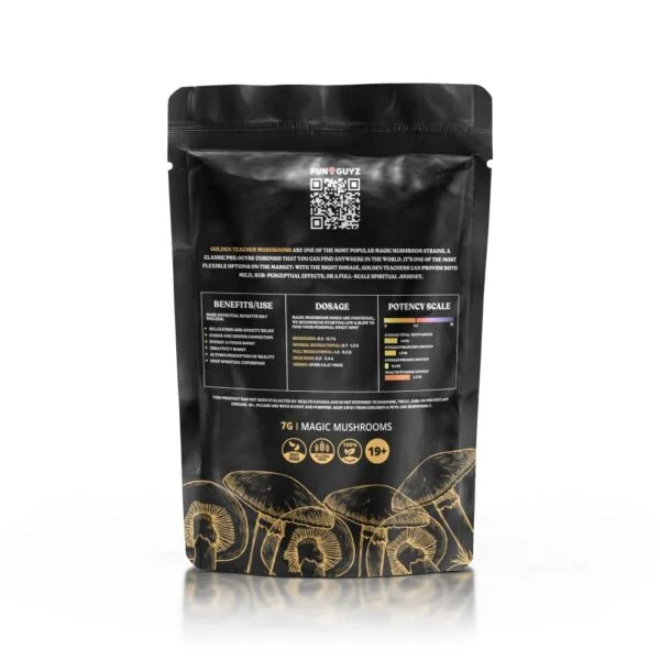 Buy Funguyz Enigma Magic Mushrooms