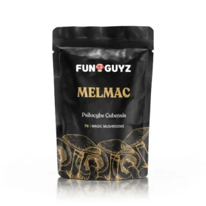 Buy Funguyz Melmac – Magic Mushrooms
